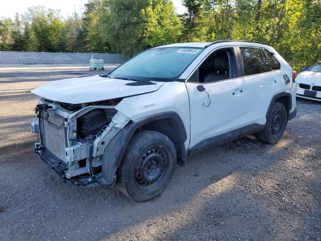 2023 TOYOTA RAV4 XLE, 