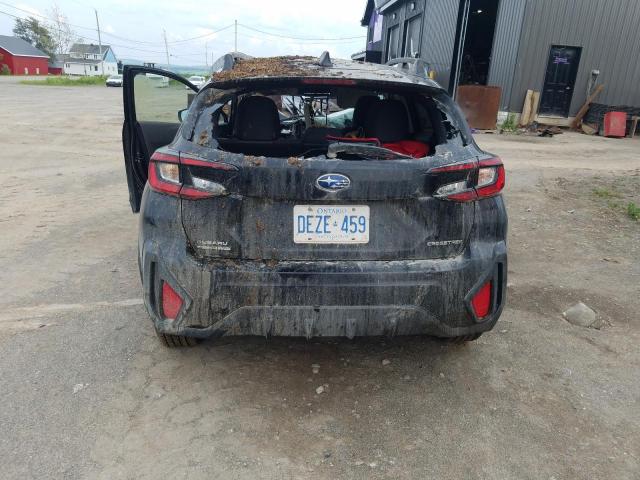 JF2GUABC3S8217919 - 2025 SUBARU CROSSTREK BLACK photo 6