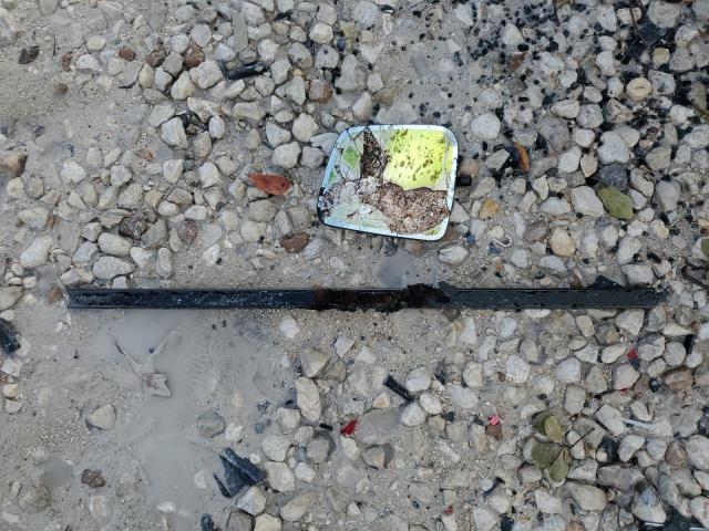 1C4RJFJT3FC754517 - 2015 JEEP GRAND CHER SUMMIT Qara foto 12