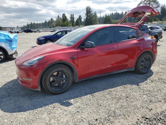 2020 TESLA MODEL Y, 