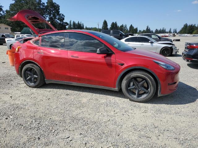 5YJYGDEE0LF057024 - 2020 TESLA MODEL Y Կարմիր լուսանկար 4