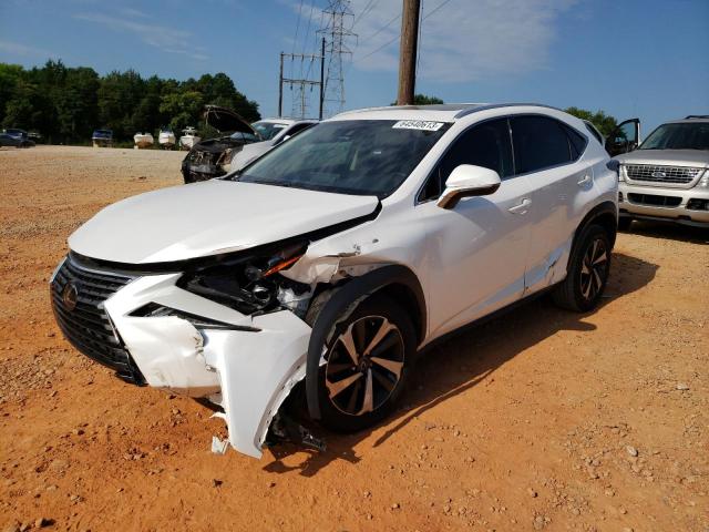 JTJYARBZ0K2143681 - 2019 LEXUS NX 300 BASE Ağ foto 1
