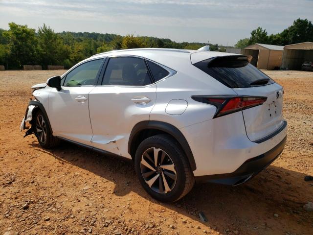 JTJYARBZ0K2143681 - 2019 LEXUS NX 300 BASE Ağ foto 2