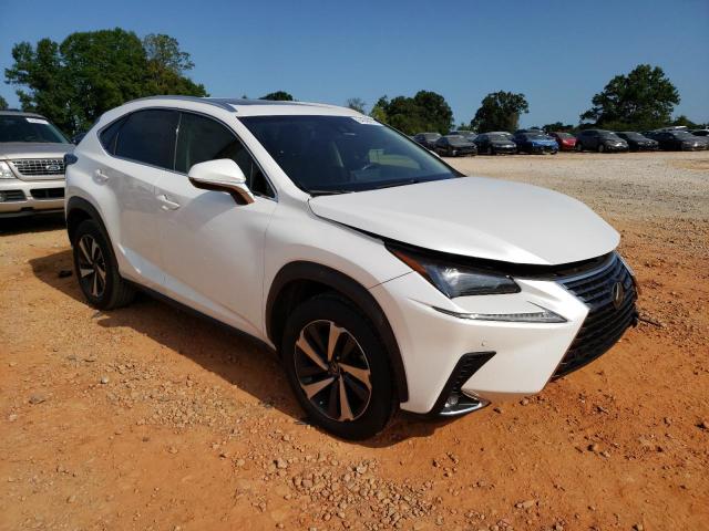 JTJYARBZ0K2143681 - 2019 LEXUS NX 300 BASE Ağ foto 4