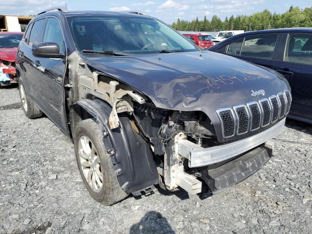 1C4PJMCB4KD201430 - 2019 JEEP CHEROKEE LATITUDE Grafit foto 13