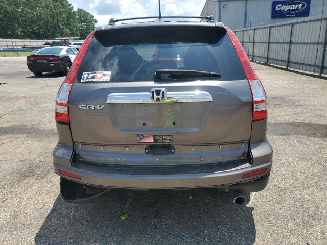 5J6RE3H78AL040543 - 2010 HONDA CR-V EXL GRAY photo 6