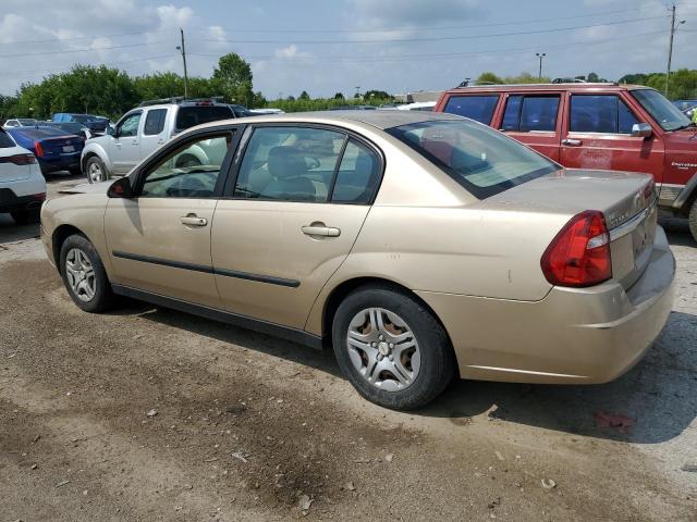 1G1ZS52F15F141236 - 2005 CHEVROLET MALIBU GOLD photo 2