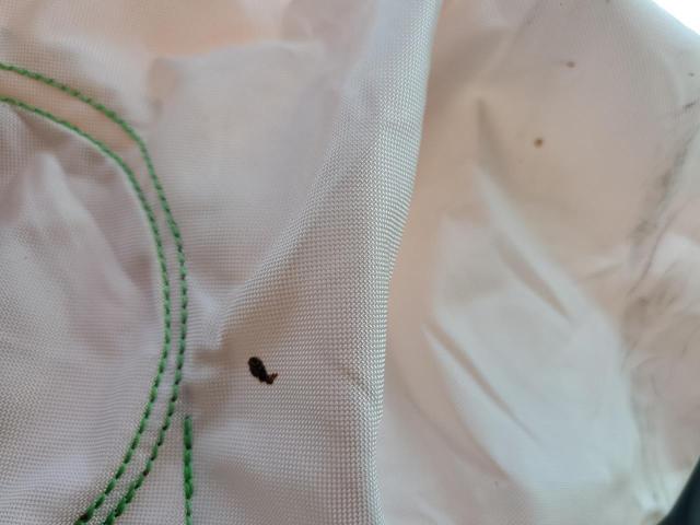 1HGCV2F90KA036110 - 2019 HONDA ACCORD TOURING Biały zdjęcie 12