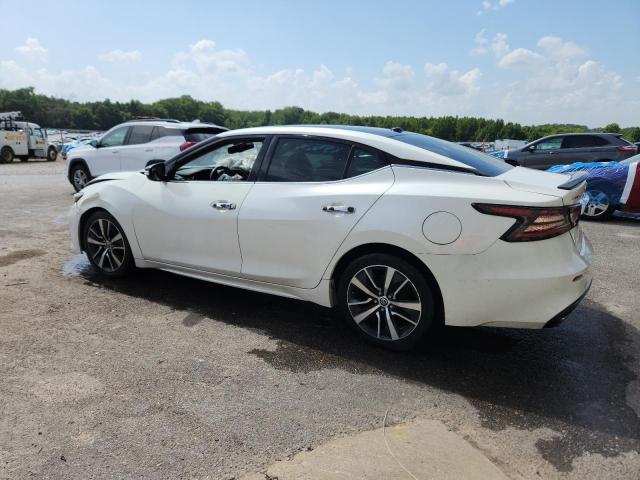 1N4AA6AV5KC371631 - 2019 NISSAN MAXIMA S თეთრი ფოტო 2