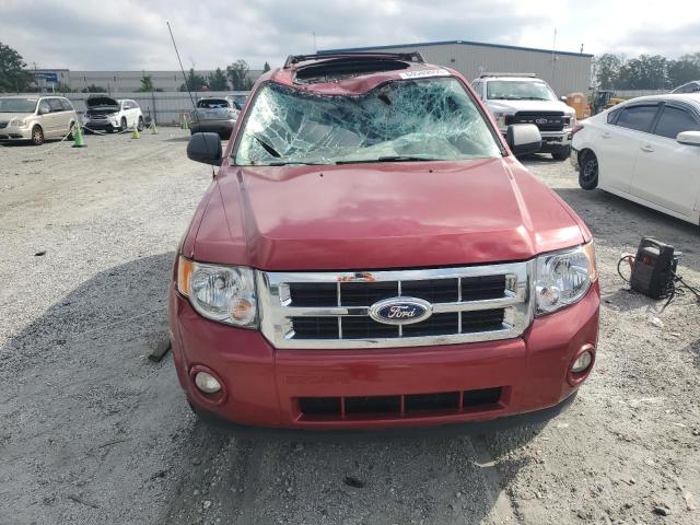 1FMCU9DG9CKB47967 - 2012 FORD ESCAPE XLT Қызыл фото 5