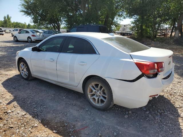 1G11D5RR4DF107359 - 2013 CHEVROLET MALIBU 1LT 白色 照片 2
