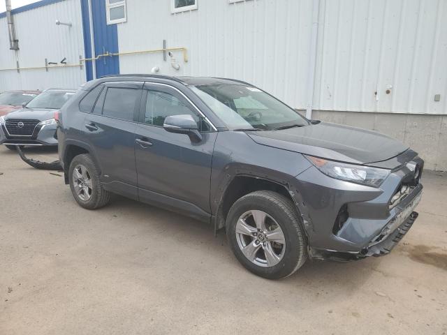 2T3BWRFV6PW170206 - 2023 TOYOTA RAV4 LE GRAY photo 4