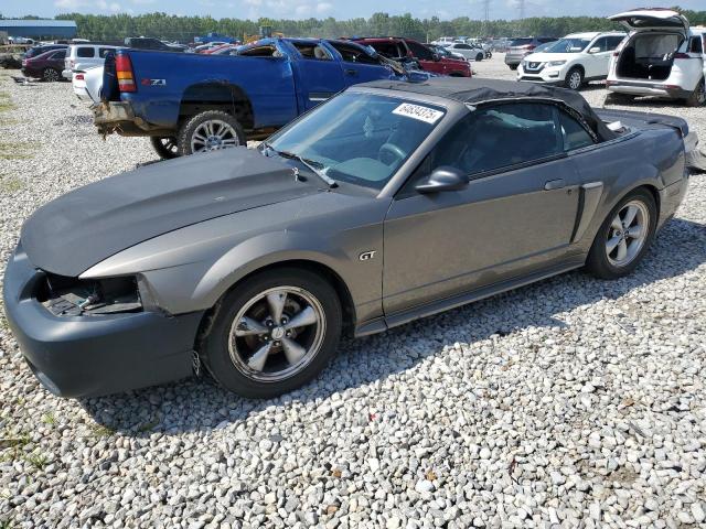 2002 FORD MUSTANG GT, null