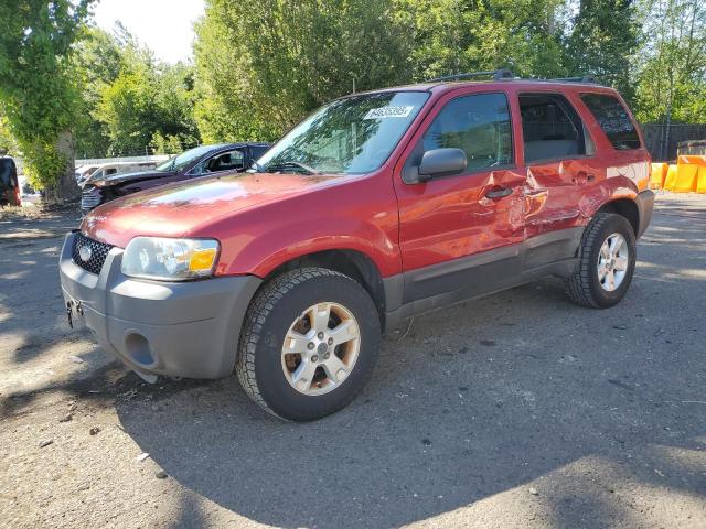 2005 FORD ESCAPE XLT, 