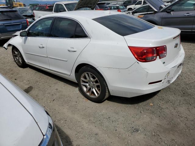 1G11C5SL4EF294919 - 2014 CHEVROLET MALIBU 1LT 白色 照片 2