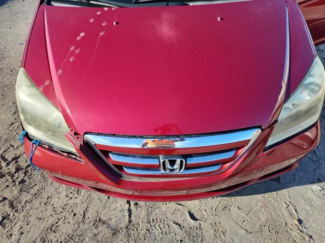 5FNRL38756B090872 - 2006 HONDA ODYSSEY EXL 红色 照片 12