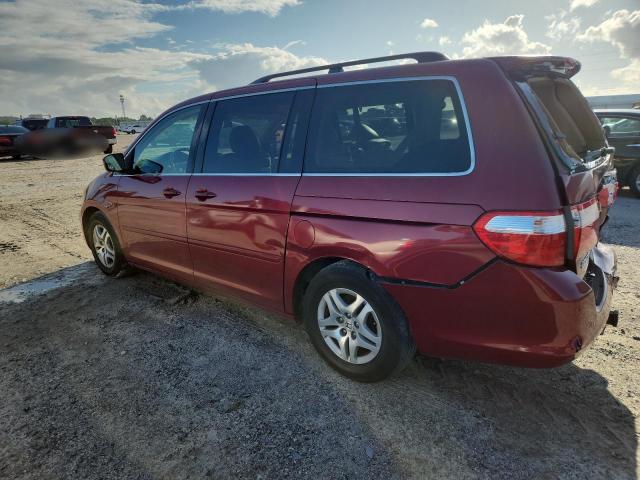 5FNRL38756B090872 - 2006 HONDA ODYSSEY EXL 红色 照片 2