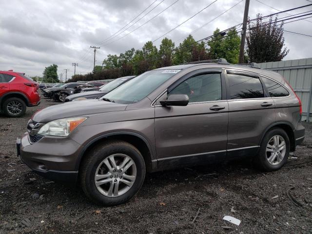 5J6RE4H7XBL043399 - 2011 HONDA CR-V EXL TAN photo 1