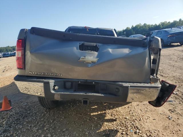 1GCEC14C87E534299 - 2007 CHEVROLET SILVERADO C1500 银色 照片 6