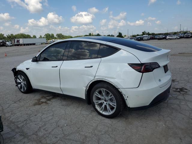 5YJYGDEE5LF011687 - 2020 TESLA MODEL Y Ağ foto 2