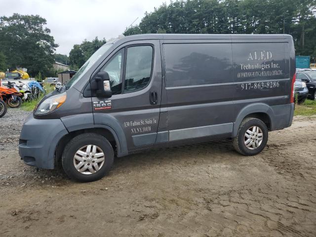 3C6TRVND9EE100454 - 2014 RAM PROMASTER 1500 STANDARD GRAY photo 1