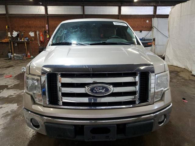 1FTEX1C84AFA77364 - 2010 FORD F150 SUPER CAB BEIGE photo 5