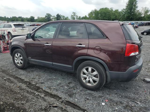 5XYKTCA6XCG295823 - 2012 KIA SORENTO BASE BURGUNDY photo 2