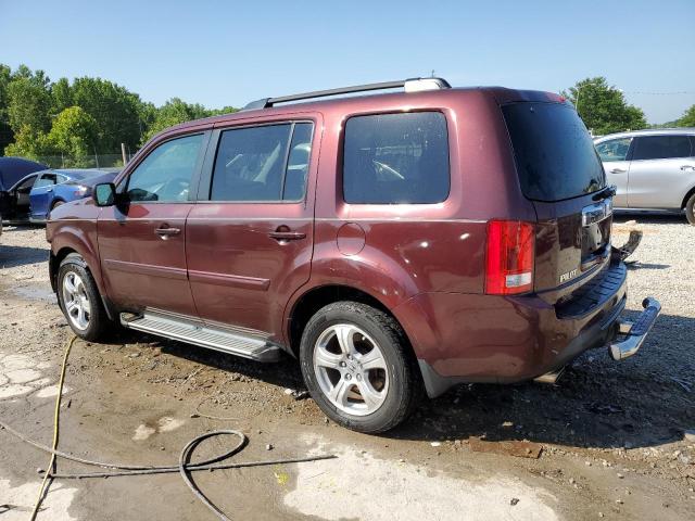 5FNYF4H62DB018167 - 2013 HONDA PILOT EXL BROWN photo 2