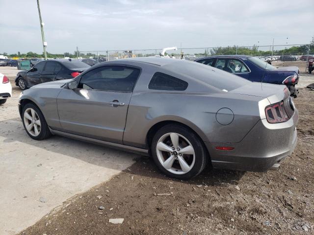 1ZVBP8AM1E5324926 - 2014 FORD MUSTANG GRAY photo 2