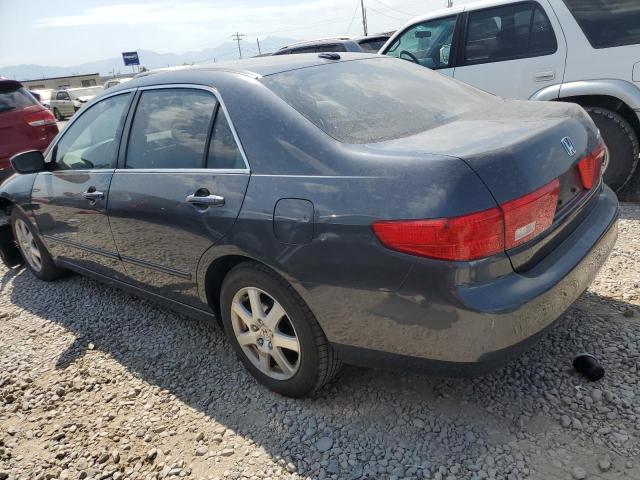 1HGCM66545A049101 - 2005 HONDA ACCORD EX Bleu photo 2