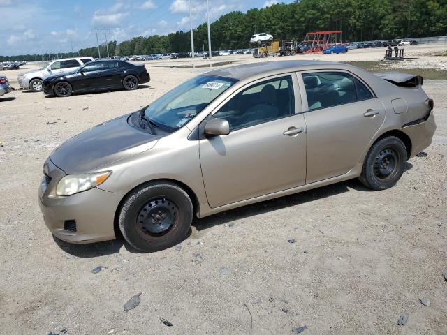 1NXBU40E69Z083984 - 2009 TOYOTA COROLLA BASE GOLD photo 1