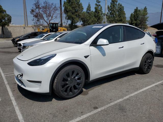 2025 TESLA MODEL Y, 