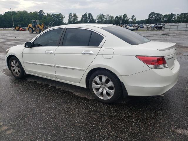 1HGCP36888A080467 - 2008 HONDA ACCORD EXL WHITE photo 2