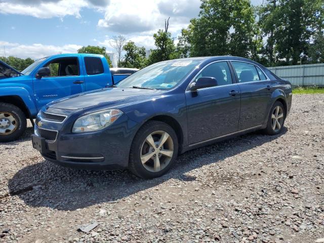 1G1ZC5E1XBF148839 - 2011 CHEVROLET MALIBU 1LT 蓝色 照片 1