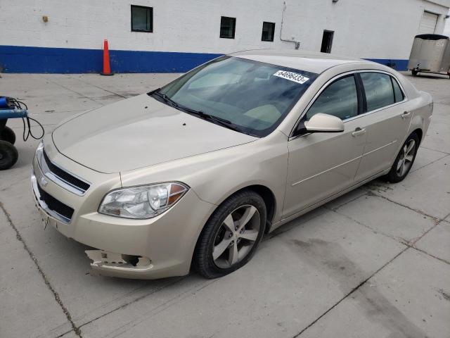 1G1ZC5EU3BF373646 - 2011 CHEVROLET MALIBU 1LT 金色 照片 1