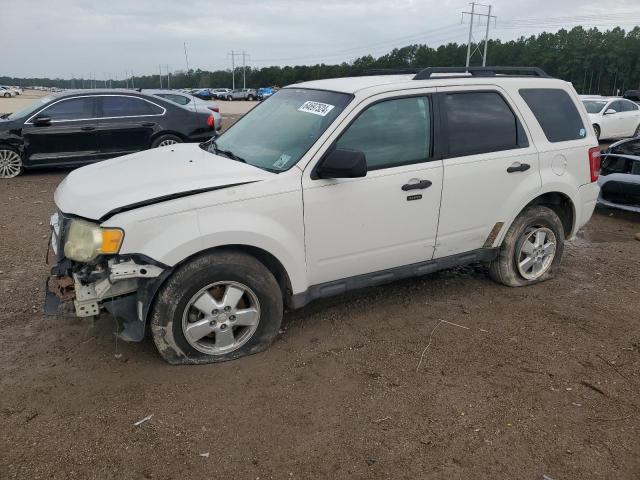 1FMCU0DG8BKA41780 - 2011 FORD ESCAPE XLT WHITE photo 1