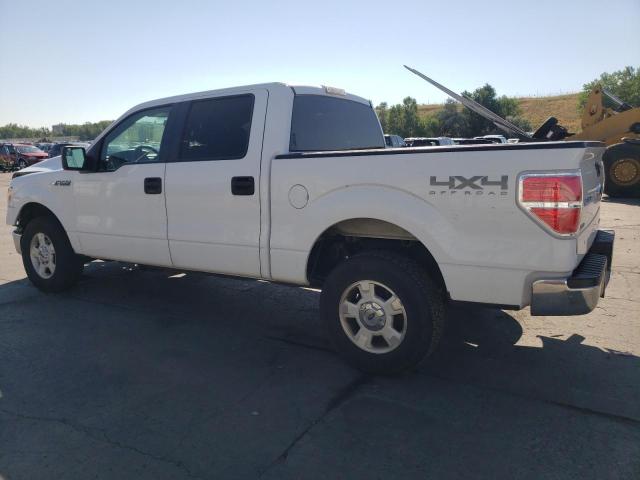 1FTFW1EF8EKE57050 - 2014 FORD F150 SUPERCREW WHITE photo 2