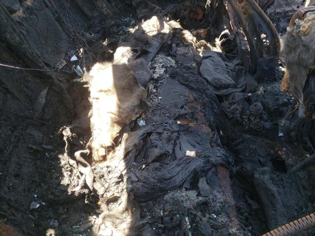 1G11H5SLXEF280394 - 2014 CHEVROLET MALIBU LTZ 米色 照片 10