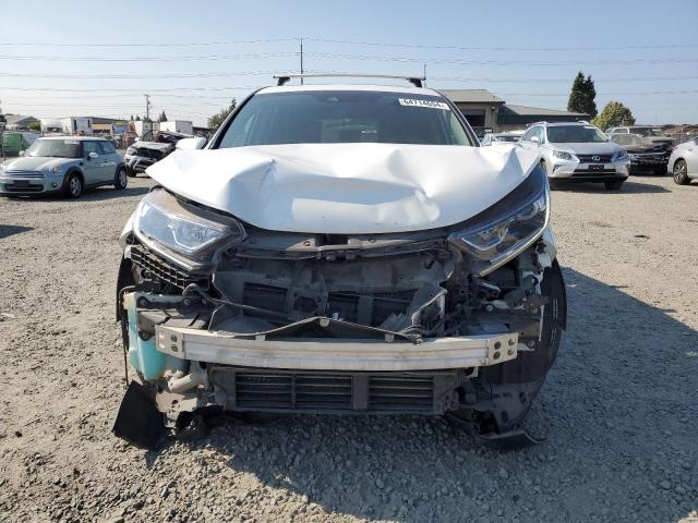 7FARW2H51KE004004 - 2019 HONDA CR-V EX WHITE photo 5