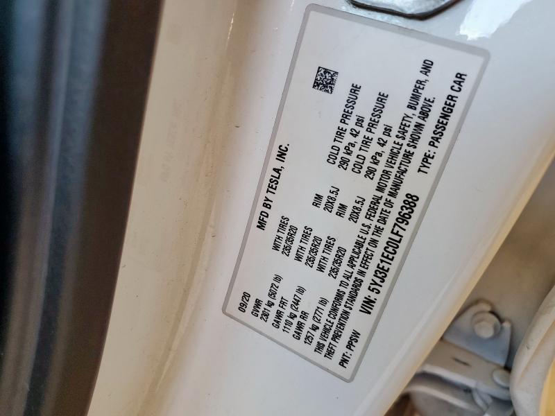 5YJ3E1EC0LF796388 - 2020 TESLA MODEL 3 Սպիտակ լուսանկար 12