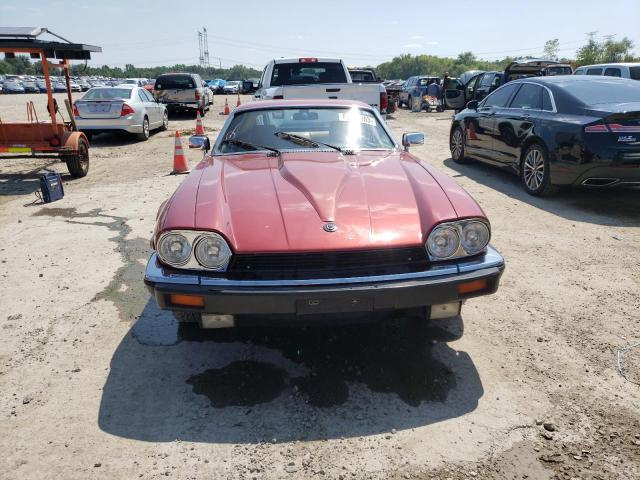 SAJNV5842DC109724 - 1983 JAGUAR XJS BURGUNDY photo 5