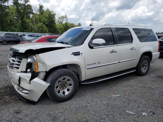 1GYUCHEF7AR180573 - 2010 CADILLAC ESCALADE ESV LUXURY 白色 照片 1