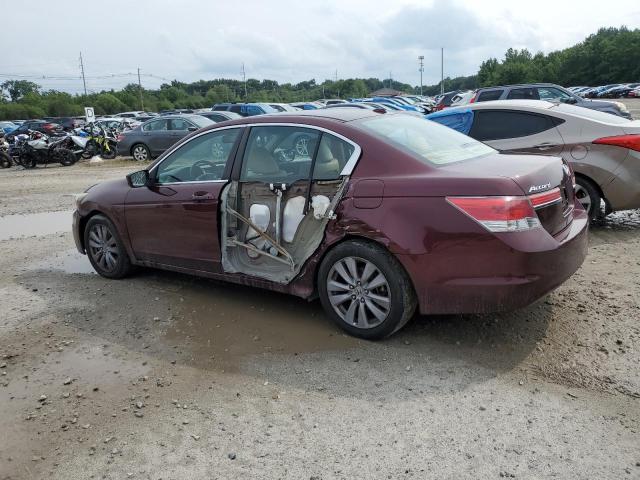 1HGCP2F80BA066998 - 2011 HONDA ACCORD EXL BURGUNDY photo 2