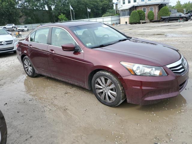 1HGCP2F80BA066998 - 2011 HONDA ACCORD EXL BURGUNDY photo 4