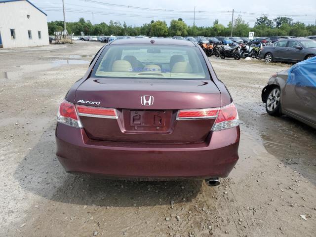 1HGCP2F80BA066998 - 2011 HONDA ACCORD EXL BURGUNDY photo 6