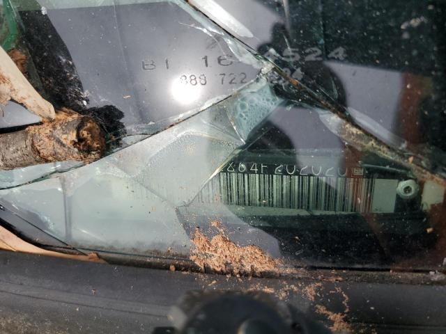 1G1ZT62864F202020 - 2004 CHEVROLET MALIBU MAXX LS თეთრი ფოტო 12