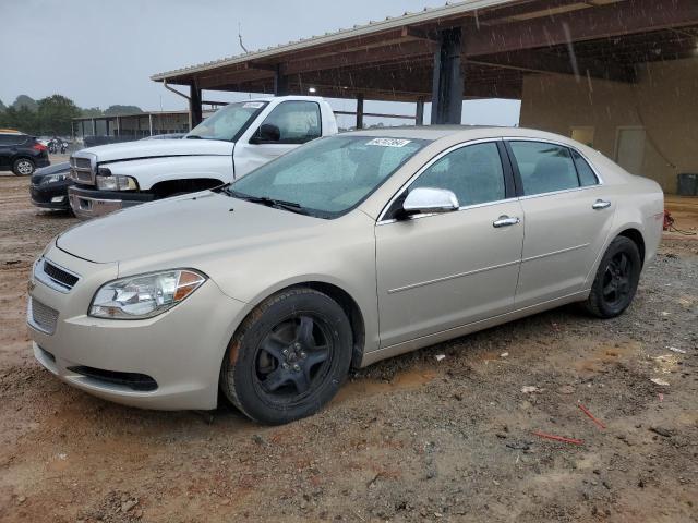 1G1ZB5E18BF384618 - 2011 CHEVROLET 1/2 TON LS GOLD photo 1