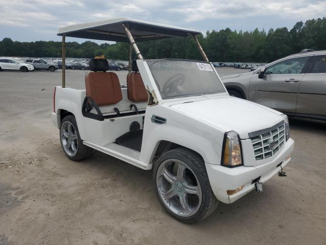 1A9LREAR0CC - 2013 ACG CUSTOM GOLF CART WHITE photo 1