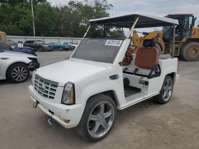 1A9LREAR0CC - 2013 ACG CUSTOM GOLF CART WHITE photo 2