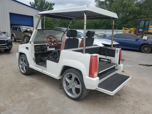 1A9LREAR0CC - 2013 ACG CUSTOM GOLF CART WHITE photo 3